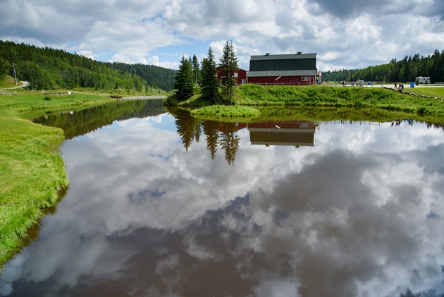 pond-july-14-6157-small